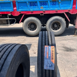 12r225-matian-mt295a-18pr